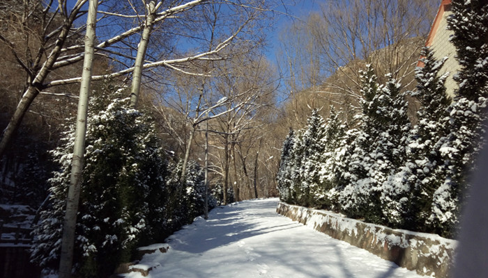 朝阳沟冰的世界