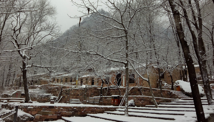 朝阳沟冰的世界