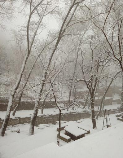 朝阳沟冰的世界