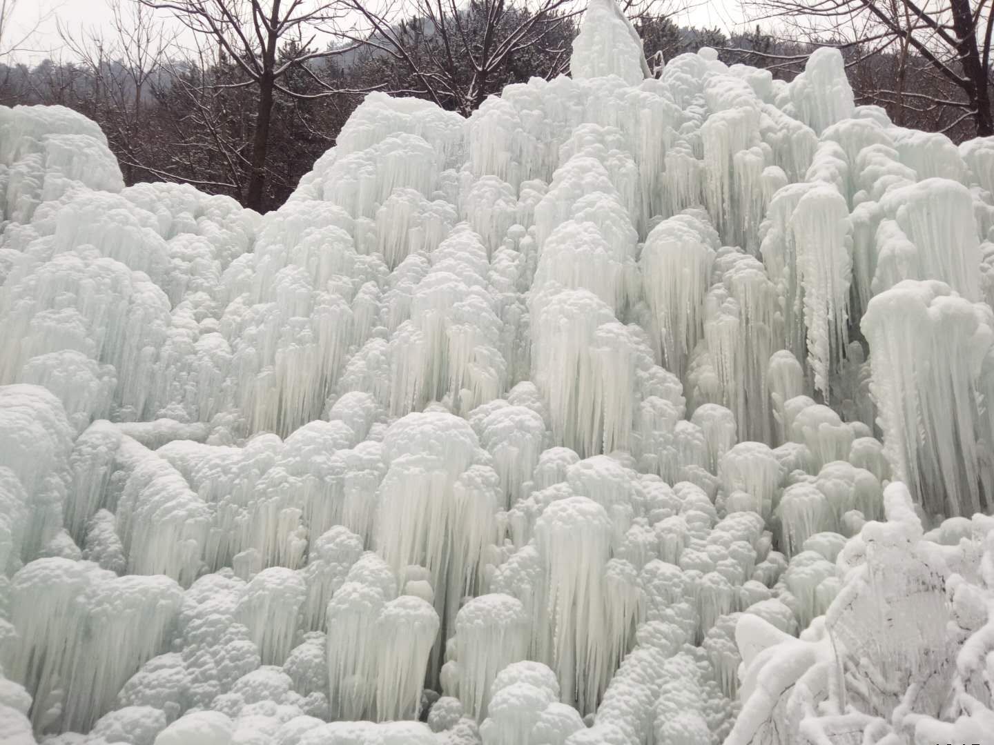 朝阳沟《冰的世界》上央视了