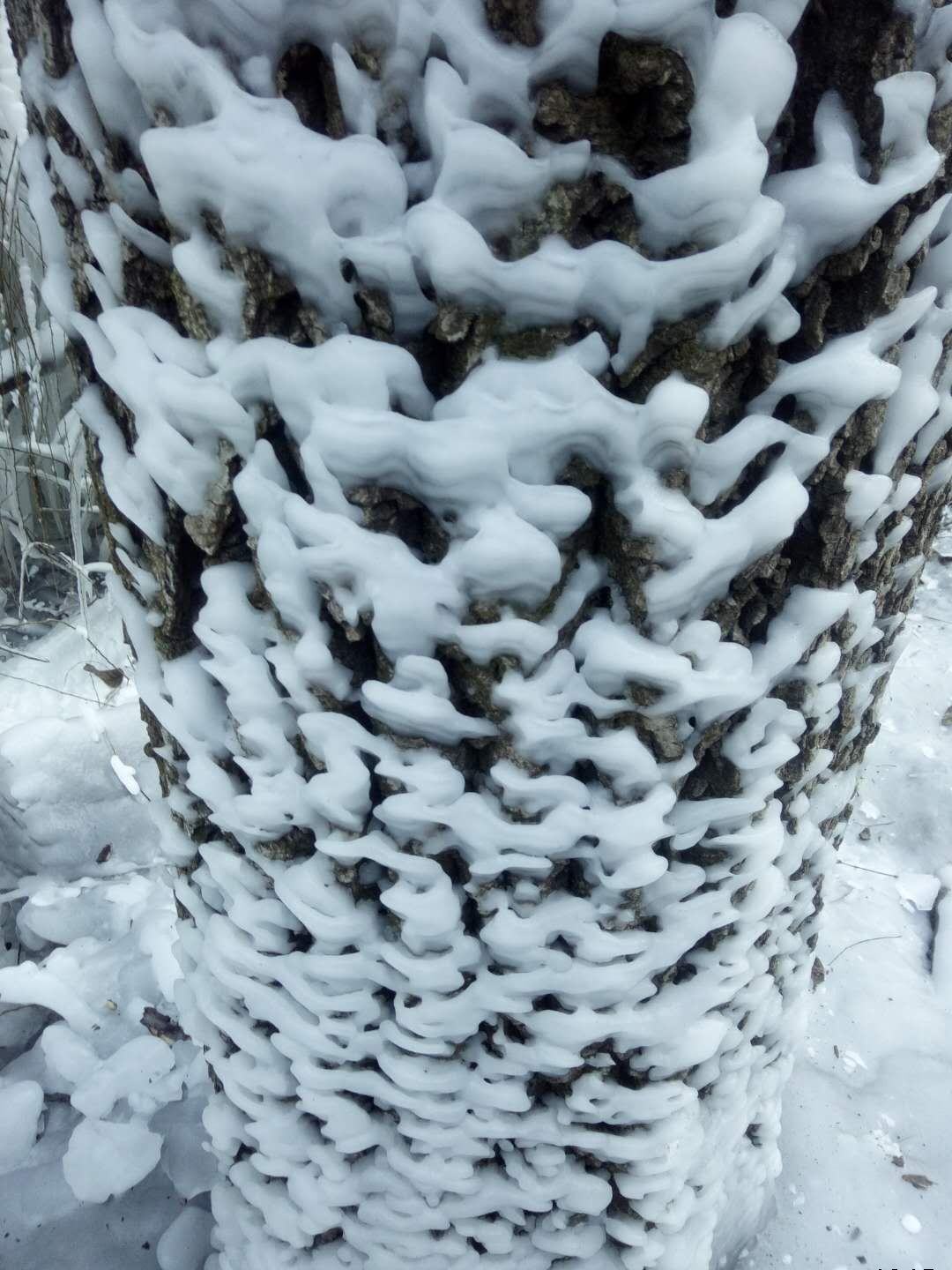 朝阳沟《冰的世界》上央视了