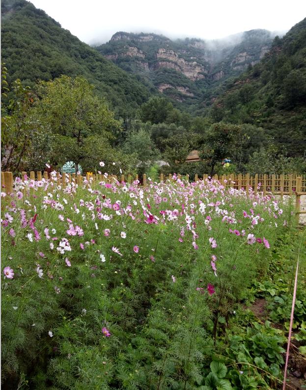 朝阳沟四季景点特色