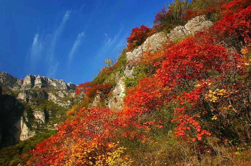 朝阳沟四季景点特色