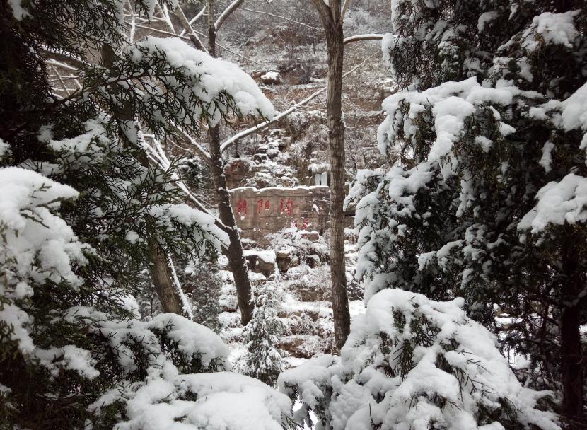 朝阳沟四季景点特色