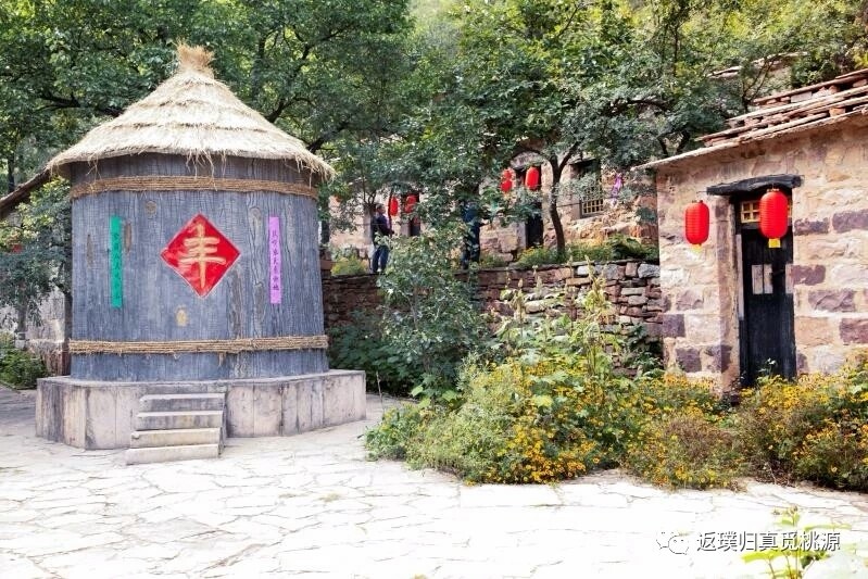 今年秋天的朝阳沟不同往年